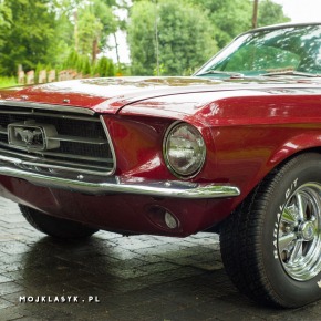 FORD MUSTANG FASTBACK 1967 Auto- Classic
